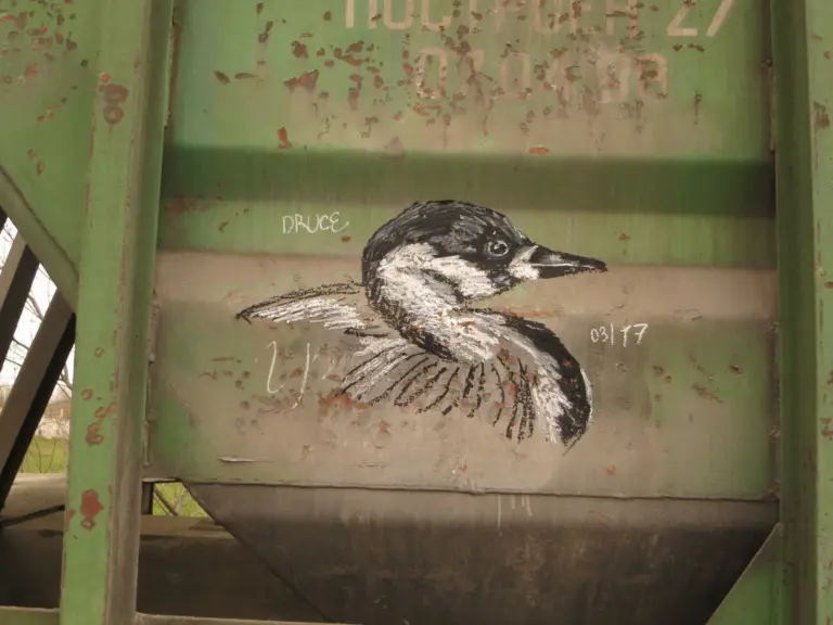 Андрей Druce Boxcar – Фауна 87