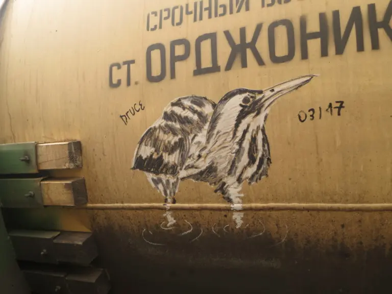 Андрей Druce Boxcar – Фауна 88