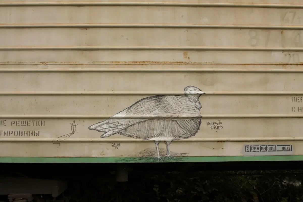 Андрей Druce Boxcar – Фауна 9