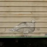 Андрей Druce Boxcar – Фауна 9