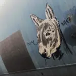 Андрей Druce Boxcar – Фауна 90