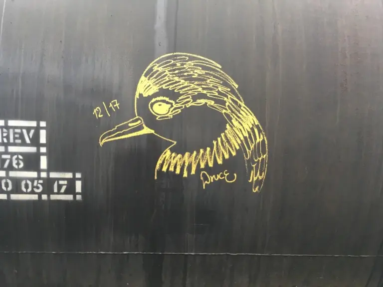 Андрей Druce Boxcar – Фауна 91