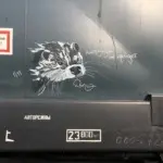 Андрей Druce Boxcar – Фауна 93