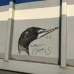 Андрей Druce Boxcar – Фауна 94