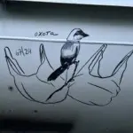 Андрей Druce Boxcar – Фауна 98