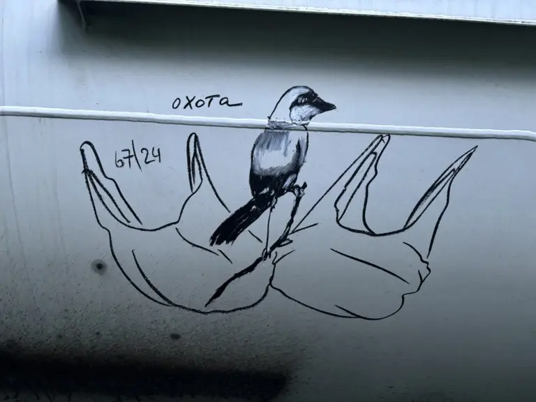 Андрей Druce Boxcar – Фауна 98