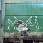 Андрей Druce Boxcar – Фауна 99