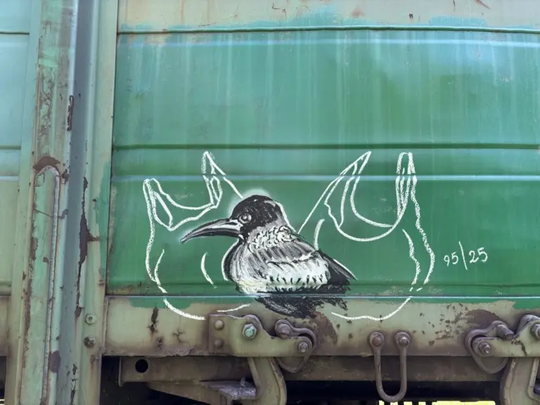 Андрей Druce Boxcar – Фауна 99