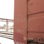 Андрей Druce Boxcar – Лебедь 12