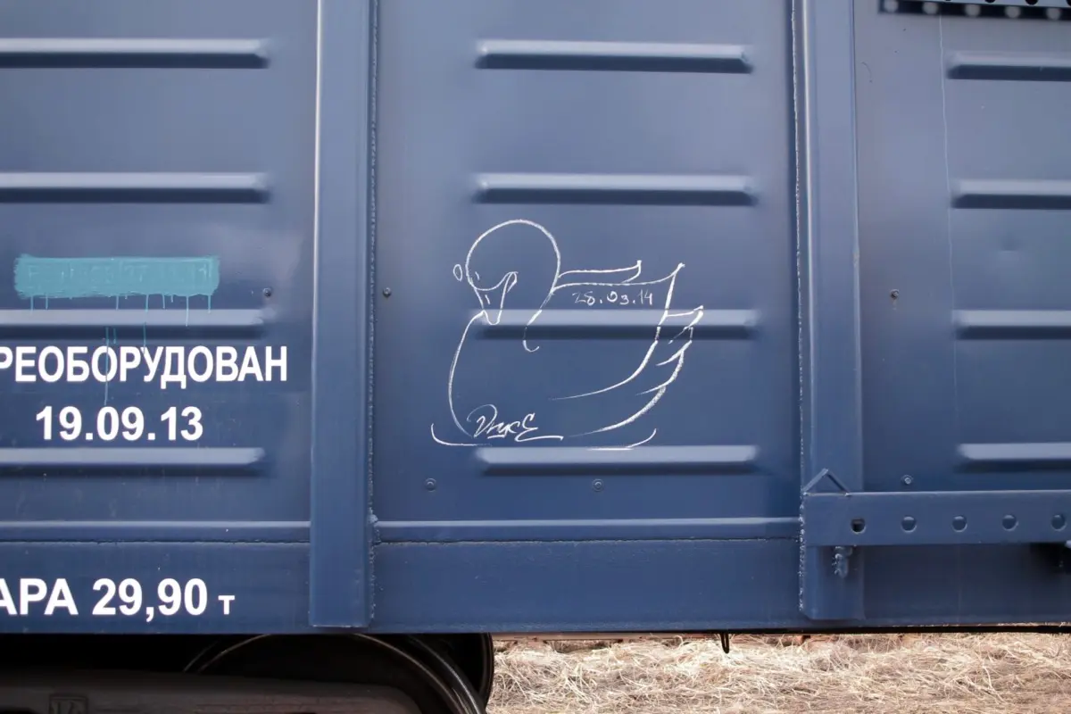 Андрей Druce Boxcar – Лебедь 14