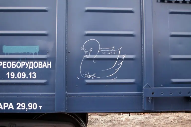 Андрей Druce Boxcar – Лебедь 14