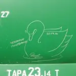 Андрей Druce Boxcar – Лебедь 15