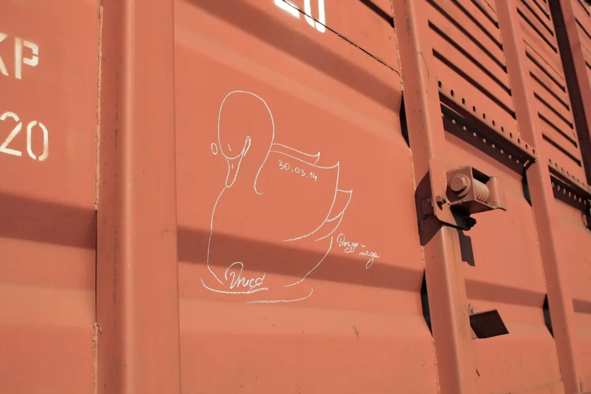 Андрей Druce Boxcar – Лебедь 16