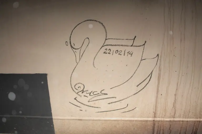 Андрей Druce Boxcar – Лебедь 8