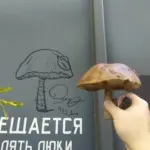 Андрей Druce Boxcar – Пакет 16