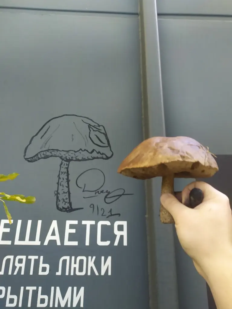 Андрей Druce Boxcar – Пакет 16