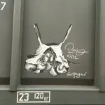 Андрей Druce Boxcar – Пакет 19