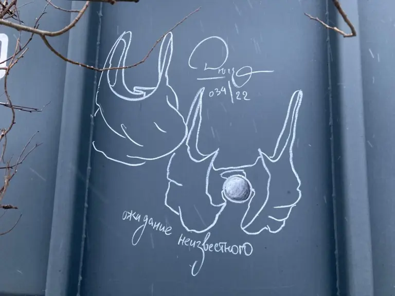 Андрей Druce Boxcar – Пакет 22