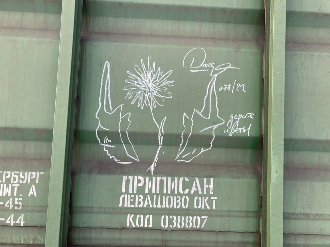 Андрей Druce Boxcar – Пакет 31