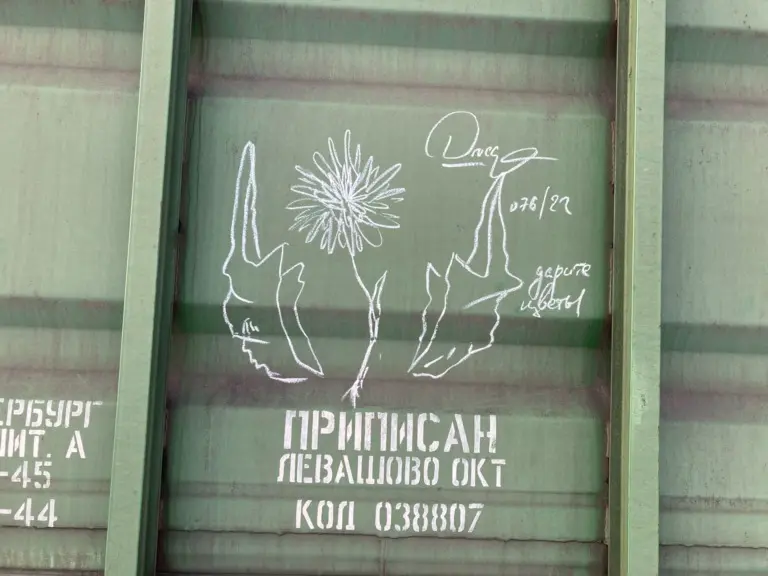 Андрей Druce Boxcar – Пакет 31