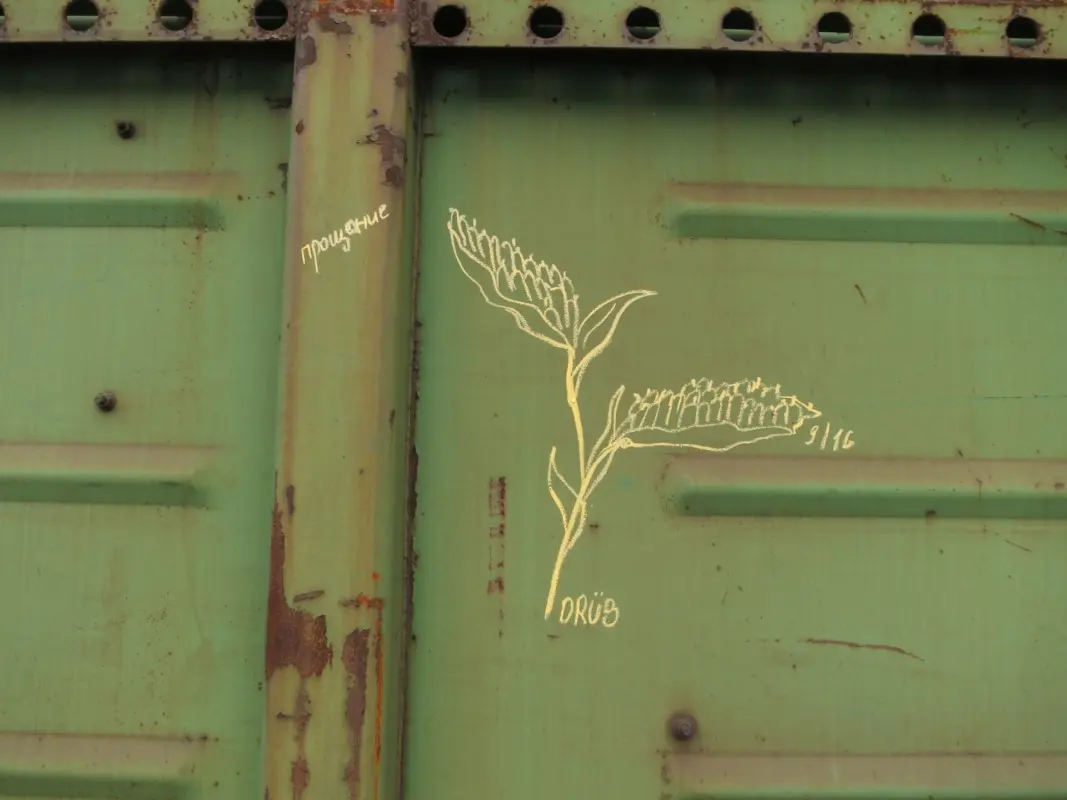 Андрей Druce Boxcar – Разное 14