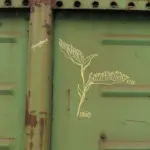 Андрей Druce Boxcar – Разное 14