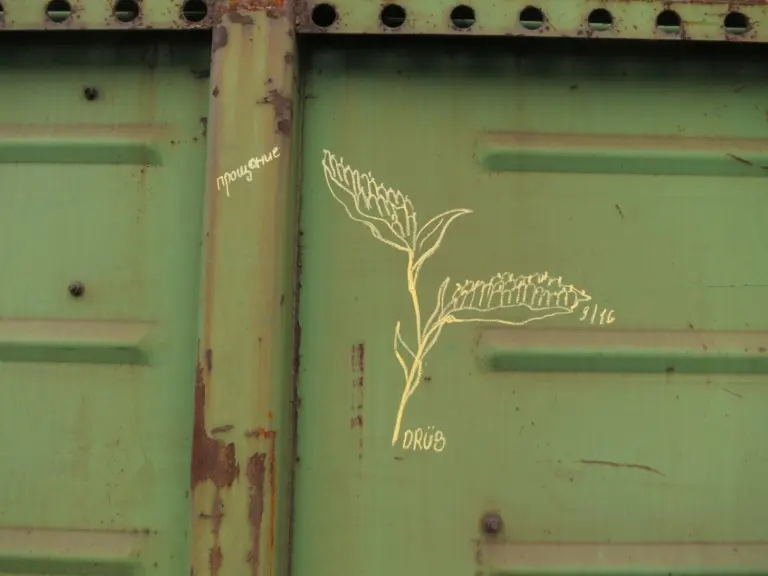 Андрей Druce Boxcar – Разное 14