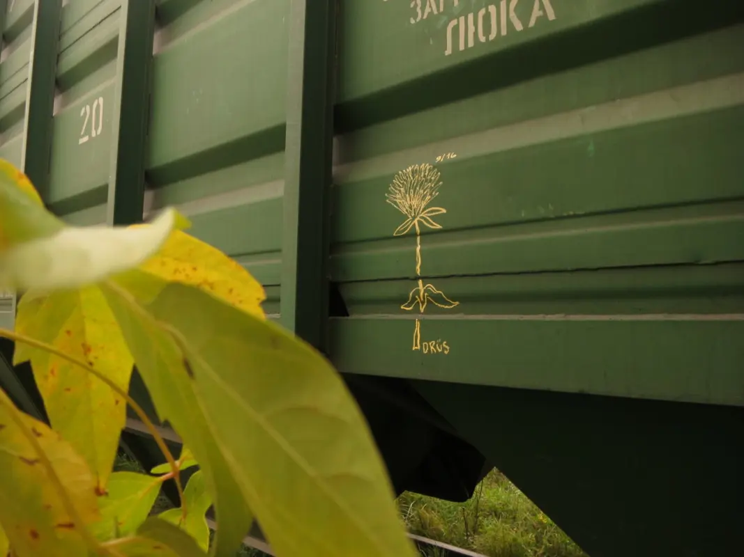 Андрей Druce Boxcar – Разное 15