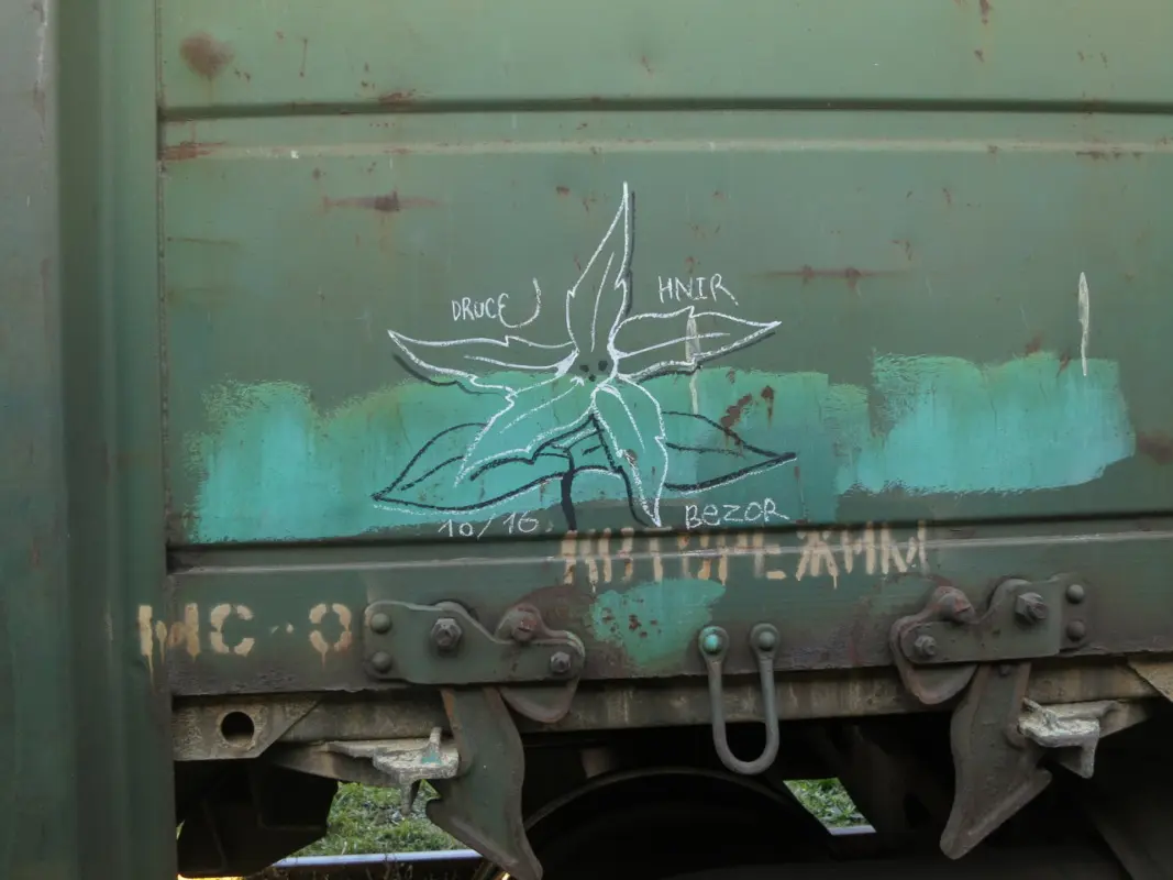 Андрей Druce Boxcar – Разное 20