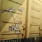 Андрей Druce Boxcar – Разное 3