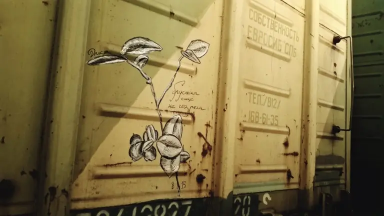 Андрей Druce Boxcar – Разное 3