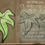 Андрей Druce Boxcar – Разное 30