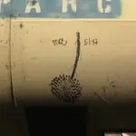 Андрей Druce Boxcar – Разное 31