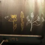 Андрей Druce Boxcar – Разное 33