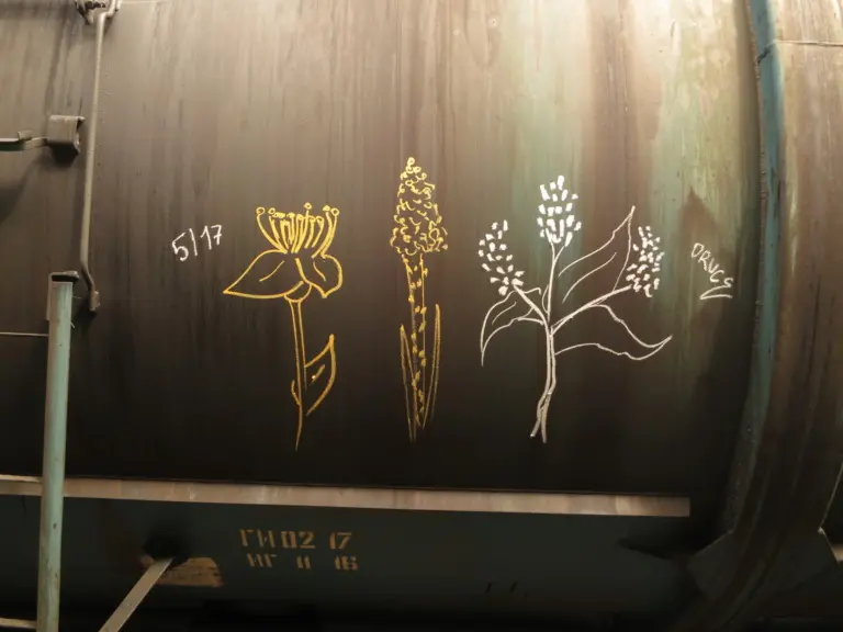 Андрей Druce Boxcar – Разное 33