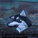 Андрей Druce Boxcar – Разное 37