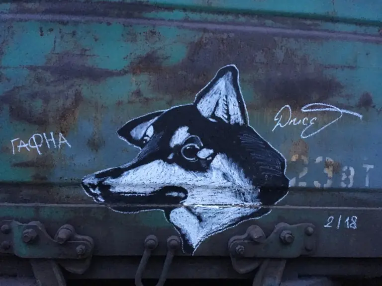 Андрей Druce Boxcar – Разное 37