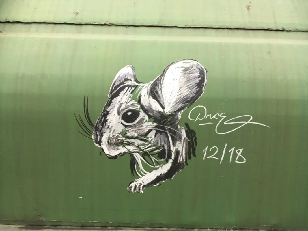 Андрей Druce Boxcar – Разное 40