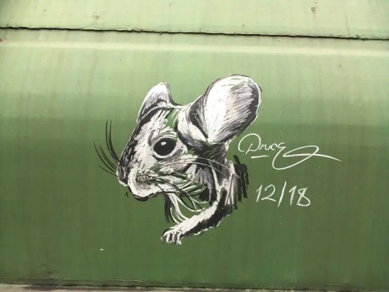 Андрей Druce Boxcar – Разное 40