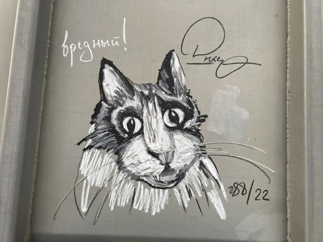 Андрей Druce Boxcar – Разное 43