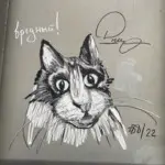 Андрей Druce Boxcar – Разное 43