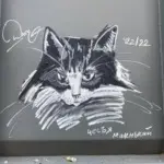 Андрей Druce Boxcar – Разное 49