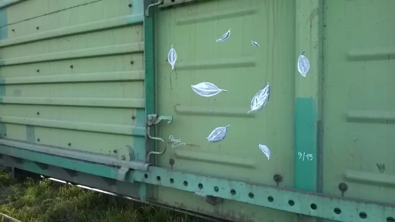 Андрей Druce Boxcar – Разное 7