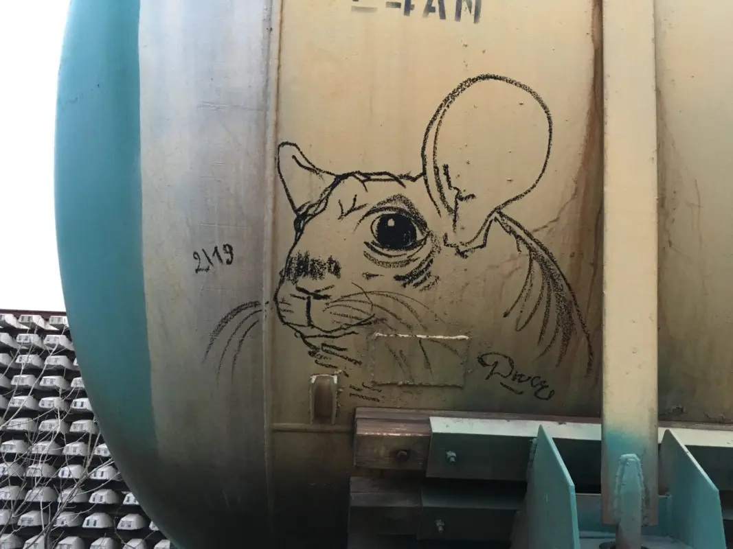 Андрей Druce Boxcar – Шиншилла 1