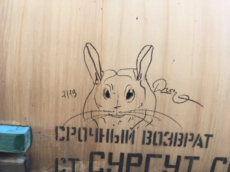 Андрей Druce Boxcar – Шиншилла 12