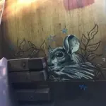 Андрей Druce Boxcar – Шиншилла 13