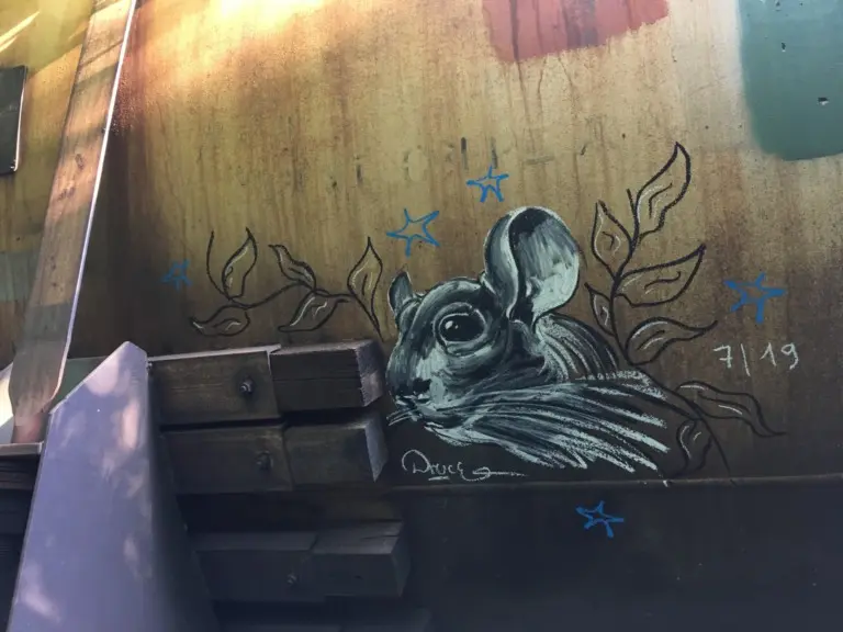 Андрей Druce Boxcar – Шиншилла 13