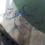 Андрей Druce Boxcar – Шиншилла 14