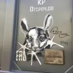 Андрей Druce Boxcar – Шиншилла 15