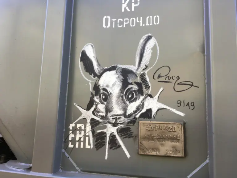 Андрей Druce Boxcar – Шиншилла 15